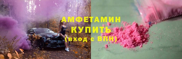 гидра Ельня