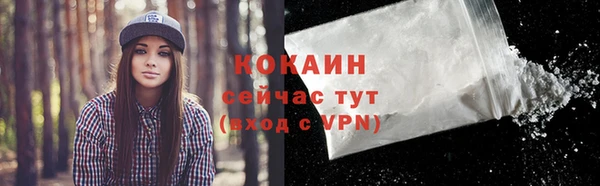 ECSTASY Магас