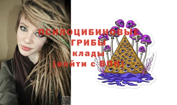 ECSTASY Магас
